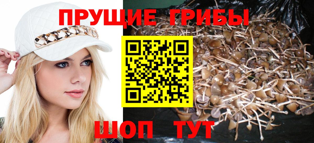 Бирск  Галлюциногенные грибы прущие грибы  Вход с VPN  Псилоцибиновые грибы Cubensis 